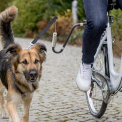 Trixie U Şeklinde Bisiklet Köpek Yürütme Aparatı - Trixie